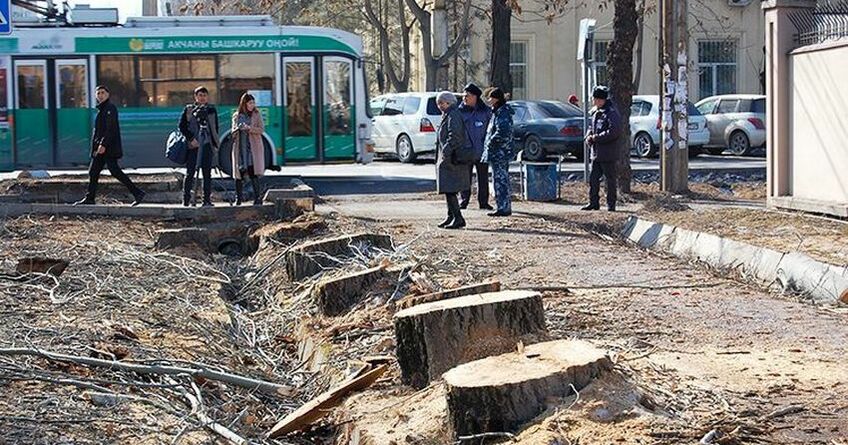 В&nbsp;мэрии рассказали, как будут проводить реновацию зеленого фонда Бишкека
